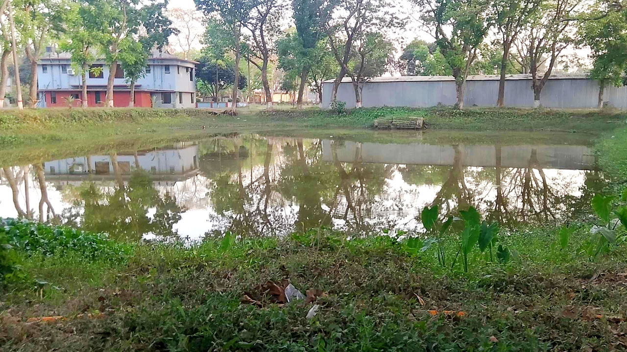 পাউবোর পুকুর থেকে মাছ ধরায় বিএনপি নেতা বহিষ্কার